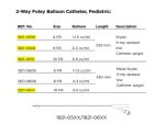 Fortune Medical – Silicone 2 way Foley balloon Catheter 耐用矽質導尿喉 診所用品