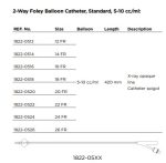 Fortune Medical – Silicone 2 way Foley balloon Catheter 耐用矽質導尿喉 診所用品