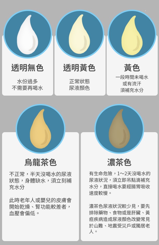 Urine Bag Male Urine Holder 診所用品 Clinic Supplies